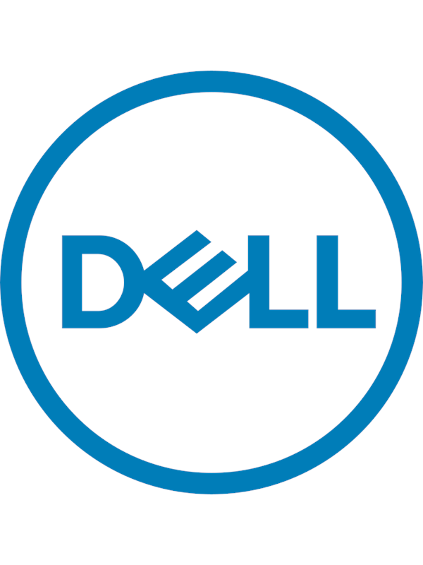 Dell Combo - USB flash drive - 256 GB - 256GB - USB-stick