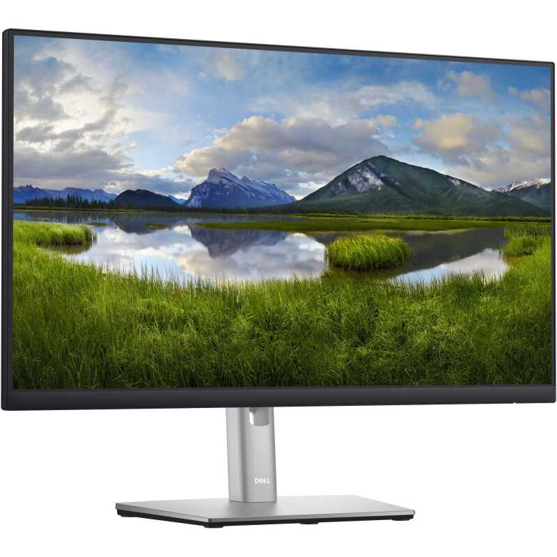 Dell P2422HE Ledmonitor