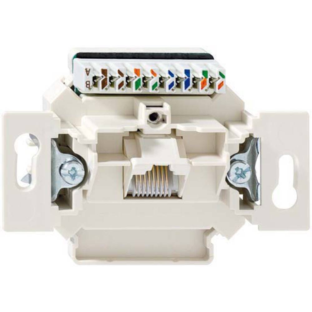 Rutenbeck UAE-Cat.6Aiso8UUp0mK Netwerkdoos Inbouw (in muur) Inzet CAT 6A