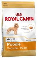 ROYAL CANIN Poodle Adult - 7,5 kg