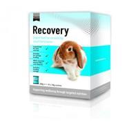 Supreme Petfoods Supreme Science Recovery 10 x 20 gr.