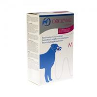 Ecuphar Orozyme Enzymhaltige Kaustreifen für mittelgroße Hunde (10-30 Kilogramm) 141 gram