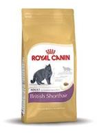 Royalcanin British Shorthair Adult - 10 kg