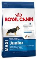 ROYAL CANIN Maxi Junior 4Kg