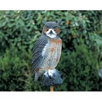 Ubbink Grote Uil H56cm