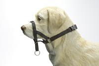 Beeztees IPTS Dog control Nylon Zwart