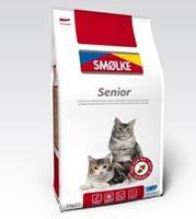 Smolke cat senior
