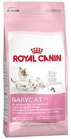 Royal Canin Mother & Babycat Katzenfutter 4 kg