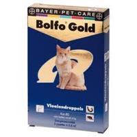Bolfo Gold Kat 80 - 4 Pipetten
