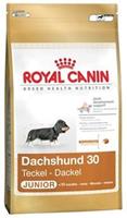 ROYAL CANIN Dachshund Puppy - 1,5 kg