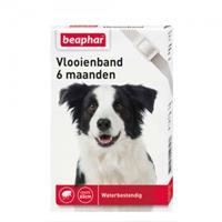 Beaphar Vlooienband Hond - 6 maanden - Wit