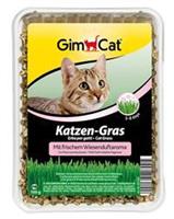Gimpet Kattengras met Weilandgeuraroma - 150 gram