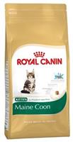 Royal Canin Breed Royal Canin Kitten Maine Coon Katzenfutter 10 kg