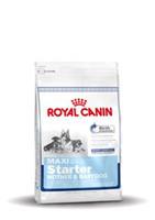 Royal Canin Maxi Starter Hundefutter 4 kg