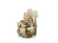 Europetbernina Decor Koraalrif Ml Medium/Large - Aquarium - Ornament - 21x18x31 cm