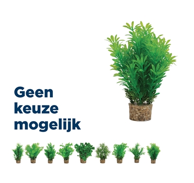 Zolux Kunstplanten Op Grind Groen