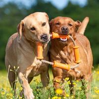 majordog Hondenspeelgoed Dummy Tussle Large