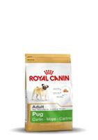 Royal Canin Breed Royal Canin Adult Mops Hundefutter 3 kg