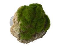 Aqua D'ella Decor Moss Stone Met Zuignap Small - Aquarium - Ornament - 12x9.5x10.5 cm