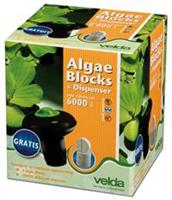 Velda Algae Block + Dispenser Algenvernichter Tabletten