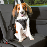 hondentuig auto dog protect zwart