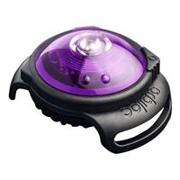 Orbiloc Dog Dual Safety Light - Violett