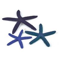 biorb zeester set 3 blauw aquarium decoratie