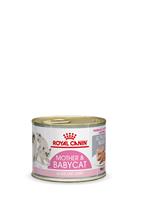 Royal Canin Babycat Instinctive Mousse Katzenfutter 2x 12 blikken (24x 195 gr)