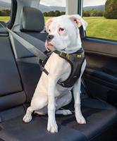 kurgo Hondentuig Impact Dog Car Harness
