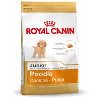 Royalcanin Poodle Puppy - 3 kg
