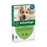 Advantage Nr. 400 vlooienmiddel (vanaf 25kg) hond Per verpakking