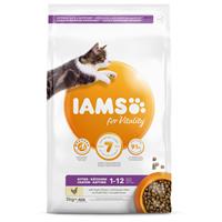 IAMS Kitten & Junior - 3 kg