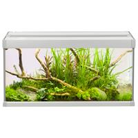 akvastabil Family Aquarium - Aquaria - 60x30x32 cm 54 l Grijs Wit