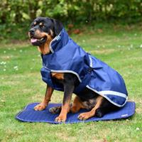 Bucas Recuptex Dog Bed - Navy/Orange - 