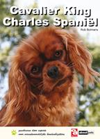 overdieren Cavalier King Charles Spaniel - Hondenboek - per stuk