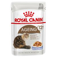 Royal Canin Ageing +12 Katzen-Nassfutter x12 In Gelee