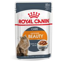 Royal Canin Intense Beauty Katzen-Nassfutter x12 In Gelee