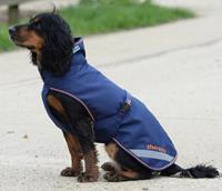 Bucas Recuptex Therapy Dog Rug - Navy/Orange - Hundedecke - 