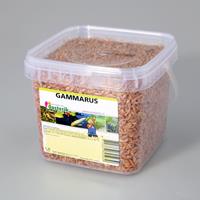 nerus Gammarus 1.2 liter