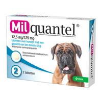Milquantel Entwurmungstabletten für den Hund 12,5 mg / 125 mg 4 tabletten