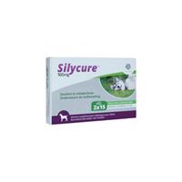 Fendigo Silycure 160 mg - 30 tabletten
