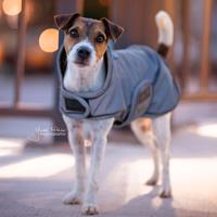 KENTUCKY DOGWEAR Kentucky - Dog coat reflective & water repellent - Silver - L - 56 cm