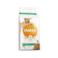 IAMS for Vitality Adult Lamm Große Rassen Hundefutter 12 kg