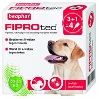 beaphar Fiprotec Dog 3+1 pip - Anti vlooien en tekenmiddel - 20-40kg Vanaf 12 Maanden