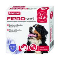 beaphar Fiprotec Dog 3+1 pip - Anti vlooien en tekenmiddel - 40-60kg Vanaf 12 Maanden