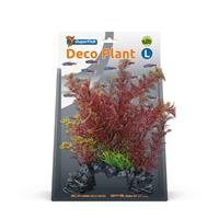 superfish deco plant l cabomba red