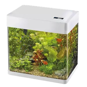 Superfish Panorama 50 Wit - Modern Aquarium 50L met LED - Inclusief Filter en Pomp