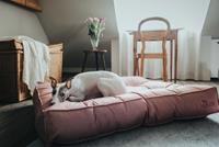 nichtzutreffend Bett für Hunde Hunter lancaster Rot (120 x 90 cm)