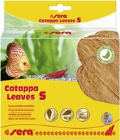 Sera Catappa Leaves S 10 - 15 cm