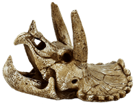 SuperFish skull triceratops m